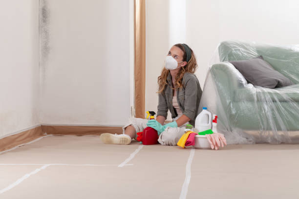 Reliable Black Mold Remediation contractor in Upton, KY by 24 Hour Mold Removal